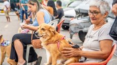 Seu Amigo Pet - Imagem: Divulgação / PMMC