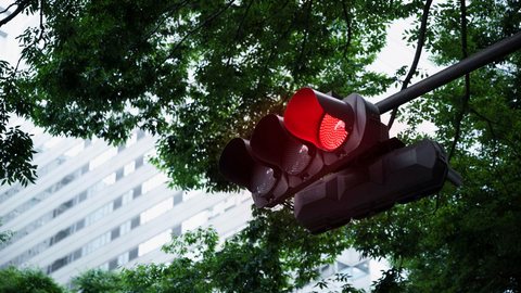 Nova lei de trânsito permite 'furar' sinal vermelho; entenda quando - Imagem: reprodução Freepik
