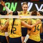 Imagem: Divulgação/Volleyball World