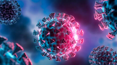 Influenza A avança e provoca crescimento de internações por síndrome respiratória grave - Imagem: Reprodução