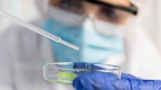 Anvisa classifica o Candida auris como uma grave ameaça devido à sua resistência a antifúngicos e potencial para infecções fatais - Imagem: Reprodução / Freepik
