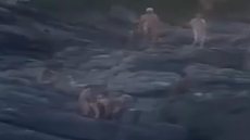 OUTRO 'SURUBÃO': 15 homens são pegos no flagra fazendo sexo em praia; assista - Imagem: Reprodução/X/Twitter