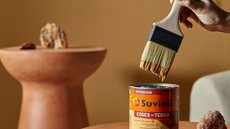 Suvinil é vendida para Sherwin-Williams por R$ 6,5 bilhões - Imagem: Divulgação / Suvinil