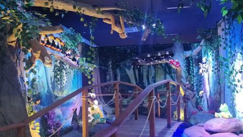 Tabatinga inaugura o primeiro zoológico de bichos de pelúcia do Brasil - Imagem: Reprodução / TV TEM / Mayky Araújo