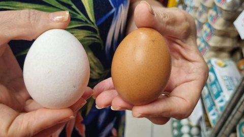 Com a produção estimada em 66 bilhões de ovos até 2026, o Brasil se consolida como um player importante no mercado global de ovos - Imagem: Reprodução/Redes Sociais