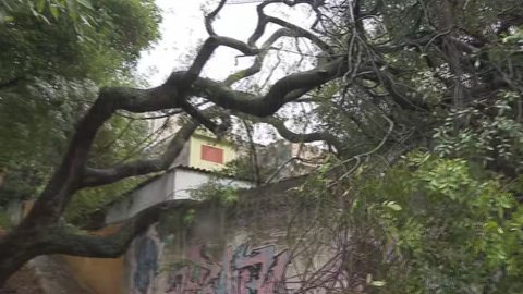 Tempestade em São Paulo causa alagamentos e quedas de árvores, mas felizmente sem vítimas; autoridades trabalham para normalizar serviços. - Imagem: Reprodução | TV Globo