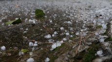 Capital paulista deve registrar temperaturas entre 14°C e 25°C - Imagem: Reprodução / Agência Brasil / Fernando Frazão