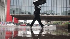 Temporal já causou mais de 13 ocorrências na cidade - Imagem: Reprodução/Governo de São Paulo