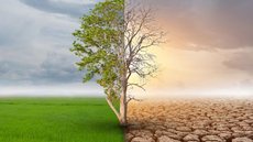 Com 80% de chance de temperaturas recordes, o relatório destaca a urgência de ações contra o aquecimento global e suas consequências - Imagem: Reprodução / Freepik