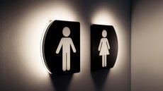 TJSP declara inconstitucional lei que proíbe banheiros multigêneros - Imagem: Reprodução / Freepik