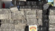 A ação ocorreu na Rodovia Feliciano Sales Cunha, em São José do Rio Preto, interior de São Paulo, no último domingo - Imagem: Divulgação/Policia Federal