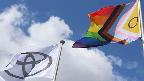 Toyota abandona cultura woke - Imagem: Reprodução | Brasil Paralelo