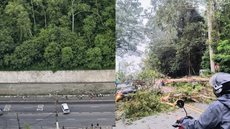 Incidente ocorreu nas proximidades do Parque Guarapiranga - Imagem: Reprodução / Instagram / @piraporinhacityy