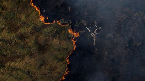 Tragédias climáticas e o futuro do planeta - Imagem: Reprodução/Fotos Públicas