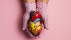 Transplantes de coração crescem 16% no primeiro semestre de 2023. - Imagem: reprodução I Freepik