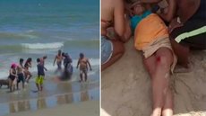 VÍDEO - em 24h, tubarão arranca braço de outro jovem no mesmo lugar - Imagem: reprodução redes sociais