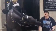 Turista desmaia após ser mordida por cavalo da Guarda Real em Londres - Imagem: Reprodução/Twitter