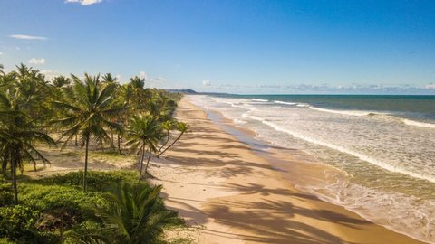 Turistas perdem a vida em afogamentos em praias do litoral paulista - Imagem: Reprodução / Freepik