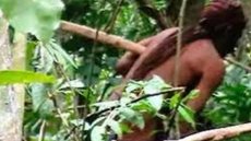 Morre último remanescente de grupo indígena isolado na Amazônia - Imagem: reprodução grupo bom dia