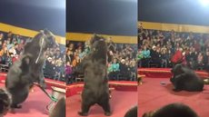 Voltou a viralizar: um urso atacou seu treinador durante um show de circo na Rússia. - Imagem: reprodução I Youtube canal UOL