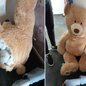 Delegacia de Polícia de Rochdale compartilhou imagens de urso usado por ladrão para escapar da prisão - Imagem: Reprodução/Twitter @GMPRochdale