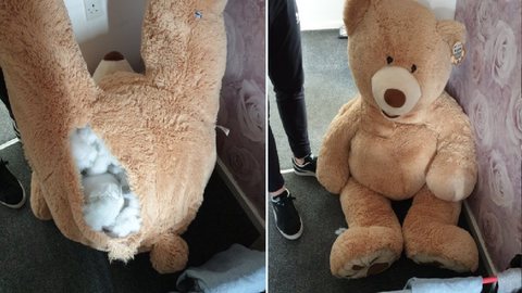 Delegacia de Polícia de Rochdale compartilhou imagens de urso usado por ladrão para escapar da prisão - Imagem: Reprodução/Twitter @GMPRochdale