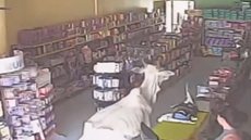 Câmera de segurança da loja registrou momento da invasão da vaca - Imagem: Reprodução/Twitter @BahiaNoticias