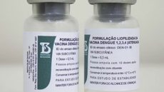 O mosquito Aedes aegypti, transmissor da dengue, é o principal alvo da nova campanha de vacinação em São Paulo. Imunização começa na segunda-feira (9) com dose única desenvolvida pelo Instituto Butantan. - Imagem: Camilla Carvalho/Instituto Butantan