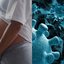 Varíola dos macacos: Saúde faz recomendação importante para grávidas; veja abaixo - Imagem: reprodução Freepik