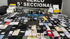 Investigação aponta comércio online de produtos sem origem comprovada. - Imagem: Divulgação/Polícia Civil.