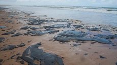Um derramamento de petróleo contaminou uma baía na costa centro-norte do país, no Mar do Caribe - Imagem: Reprodução | X (Twitter) - @AFPnews