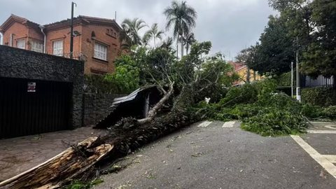 Defesa Civil alerta para condições severas até amanhã, com risco de temporais, quedas de árvores e deslizamentos em áreas vulneráveis - Imagem: Reprodução/CBN Globo