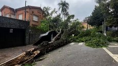 Defesa Civil alerta para condições severas até amanhã, com risco de temporais, quedas de árvores e deslizamentos em áreas vulneráveis - Imagem: Reprodução/CBN Globo