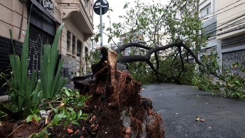 A decisão de fechamento temporário dos parques é uma medida preventiva para garantir a segurança - Imagem: Reprodução / Paulo Pinto / Agência Brasil