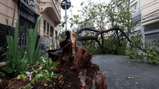 A decisão de fechamento temporário dos parques é uma medida preventiva para garantir a segurança - Imagem: Reprodução / Paulo Pinto / Agência Brasil