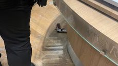 Funcionária de joalheria é assassinada pelo ex em shopping no ABC Paulista - Imagem: Reprodução / Arquivo pessoal