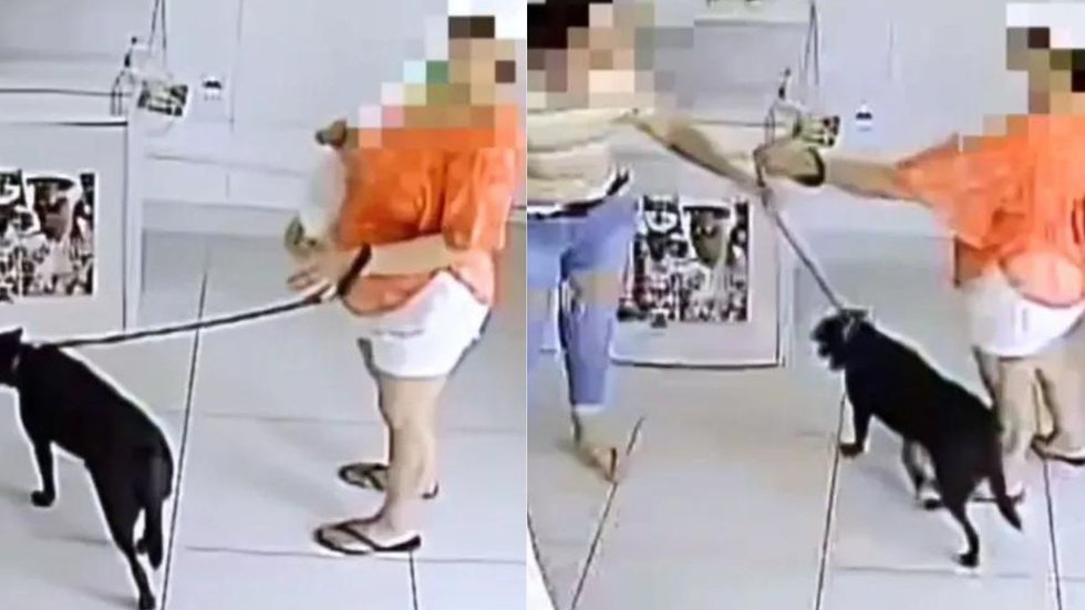 Vídeo - Mulher é flagrada abandonando cadela em pet shop em SP - Imagem: Reprodução/G1