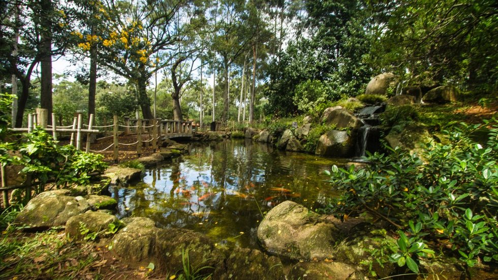 Parque da Vila Prudente, na Zona Leste de São Paulo - Imagem: divulgação