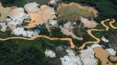 Governo Lula utilizou serviços de empresa ré por garimpo ilegal em terra yanomami - Imagem: Amazônia Real