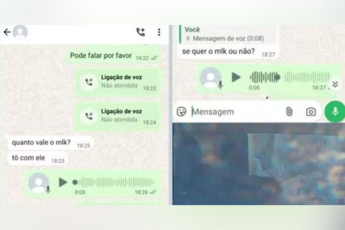 Prints das conversas - Imagem: Reprodução