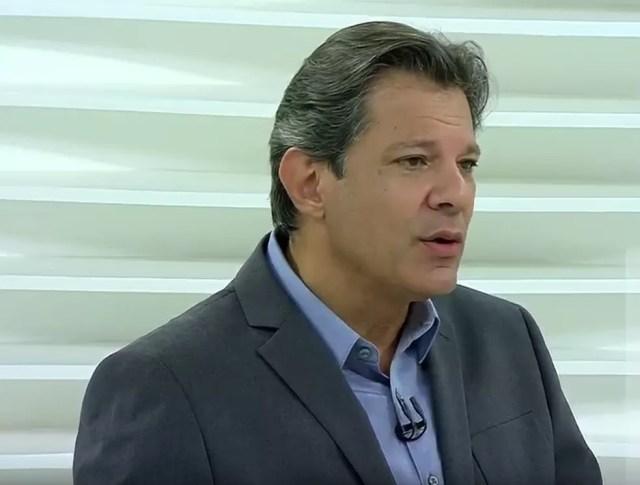 Candidato do PT à Presidência, Fernando Haddad, participa do programa Roda Viva em 22 de outubro — Foto: Reprodução/TV Cultura