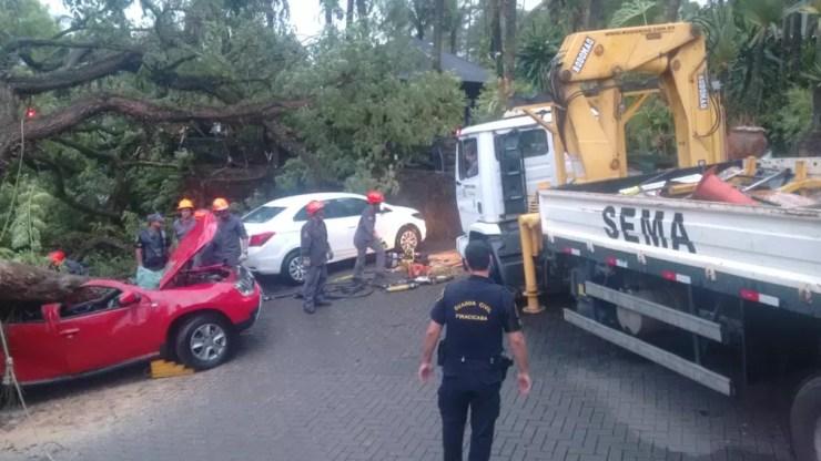 Bombeiros tentam retirar a árvore que caiu sobre o veículo em Piracicaba — Foto: Edijan Del Santo/EPTV