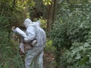 Agentes procuram por mosquitos na mata em Potirendaba (Foto: Reprodução/TV TEM)