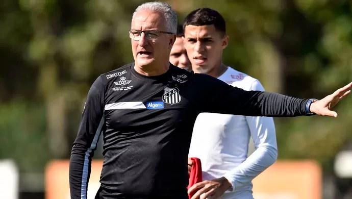 Dorival Júnior, Santos (Foto: Ivan Storti/Santos FC)