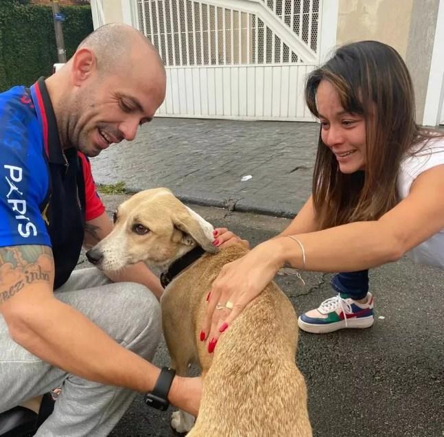 Reencontro de Reinaldo Junior com a cadela Pandora neste domingo (30), depois de 45 dias de desaparecimento. — Foto: Reprodução/Instagram