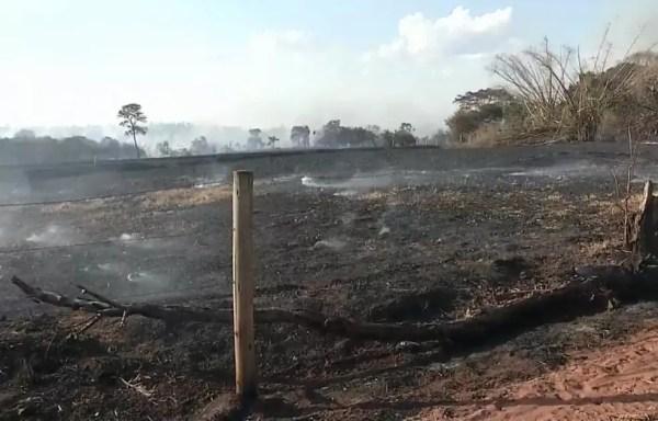 Fazenda do Estado em Andradina (SP) após incêndio  (Foto: Reprodução TV TEM)