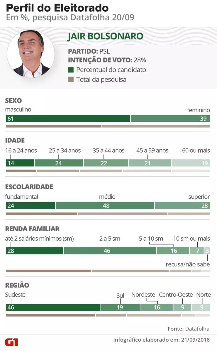 Pesquisa Datafolha - Perfil do eleitorado de Bolsonaro, conforme divisão dentro das faixas de gênero, idade, escolaridade, renda e região — Foto: Arte / G1