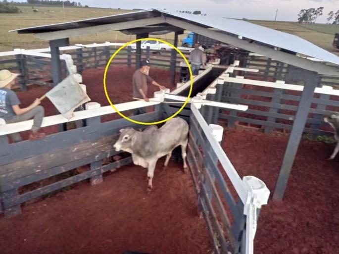 Círculo mostra Paulo Cupertino trabalhando em curral de sítio em Eldorado, Mato Grosso do Sul, onde cuidava do gado  — Foto: Reprodução/Divulgação/Polícia Civil