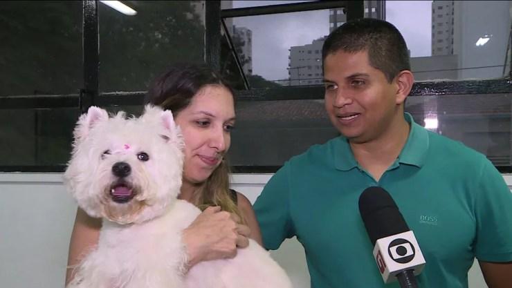 Cachorrinha faz festa ao reencontrar donos após ser roubada durante assalto a carro na Zona Sul de SP — Foto: Reprodução TV Globo