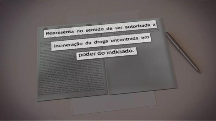 Em documento, delegado pediu à juiz para incinerar droga apreendida — Foto: TV Globo/reprodução